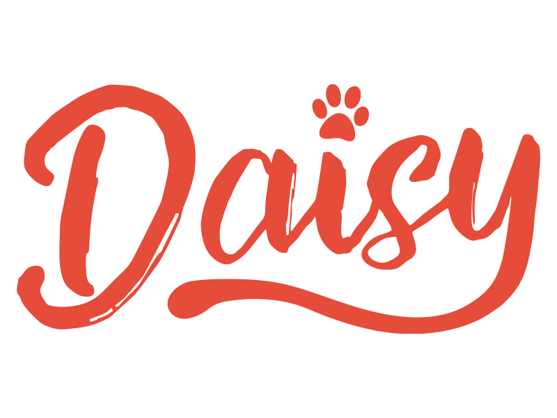 daisy-1 daisy-1