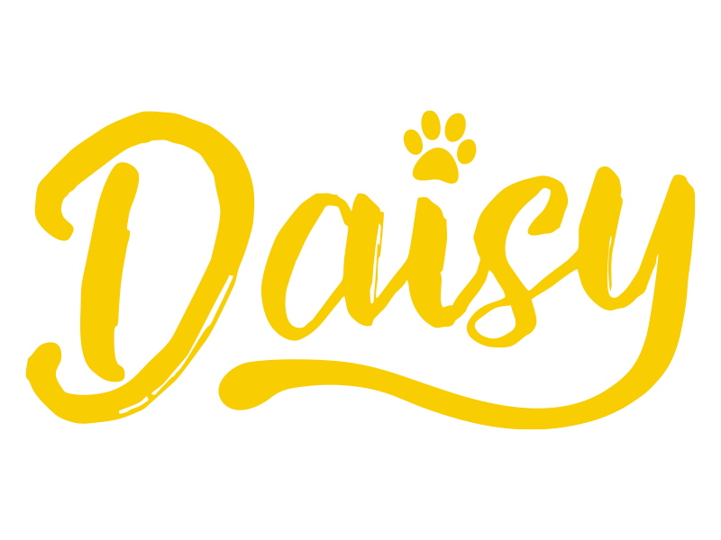 daisy-2
